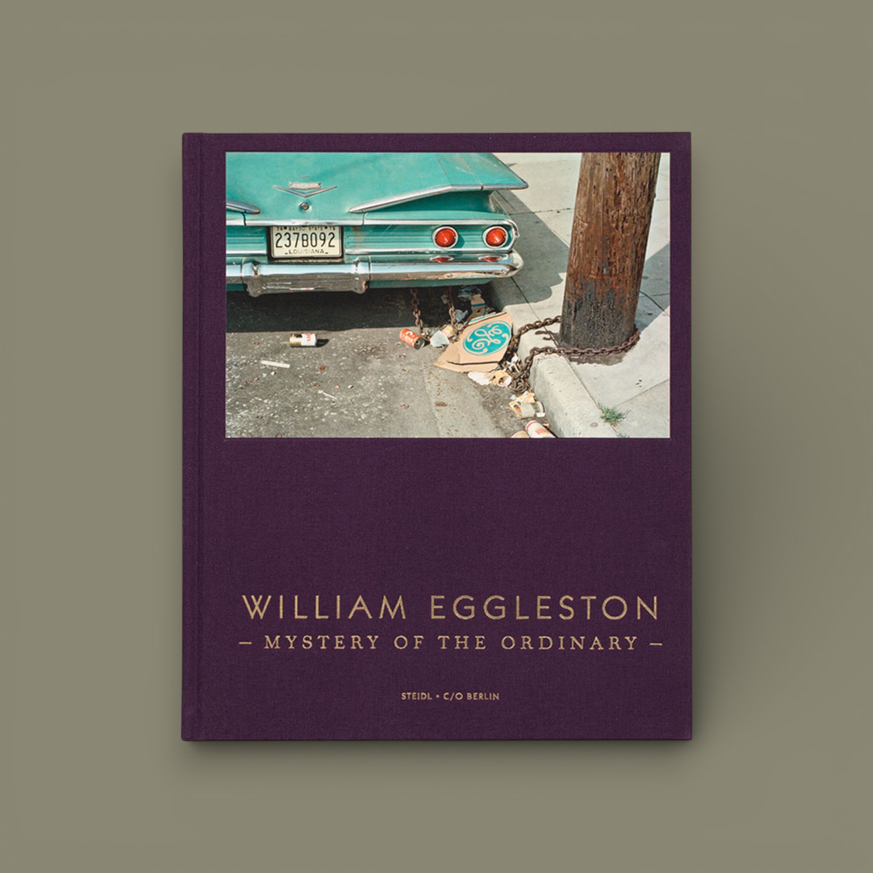 Mystery of the Ordinary — William Eggleston, 2023, Steidl / C/O