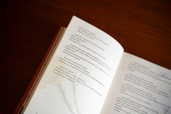 Archivo para no desaparecer — Carlota Visier & Laura C. Vela — Ediciones Comisura — 2025