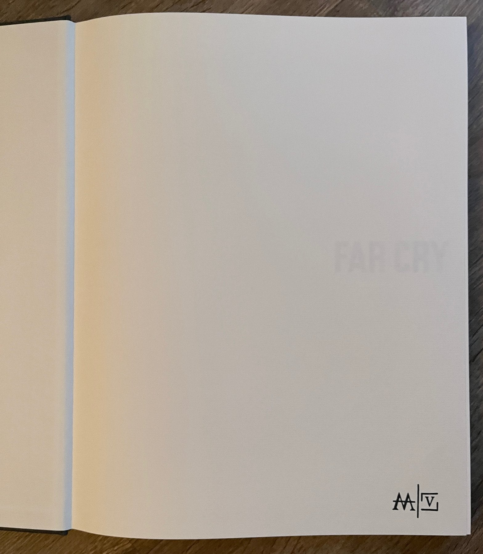 Far Cry —Paulo Nozolino, 2005