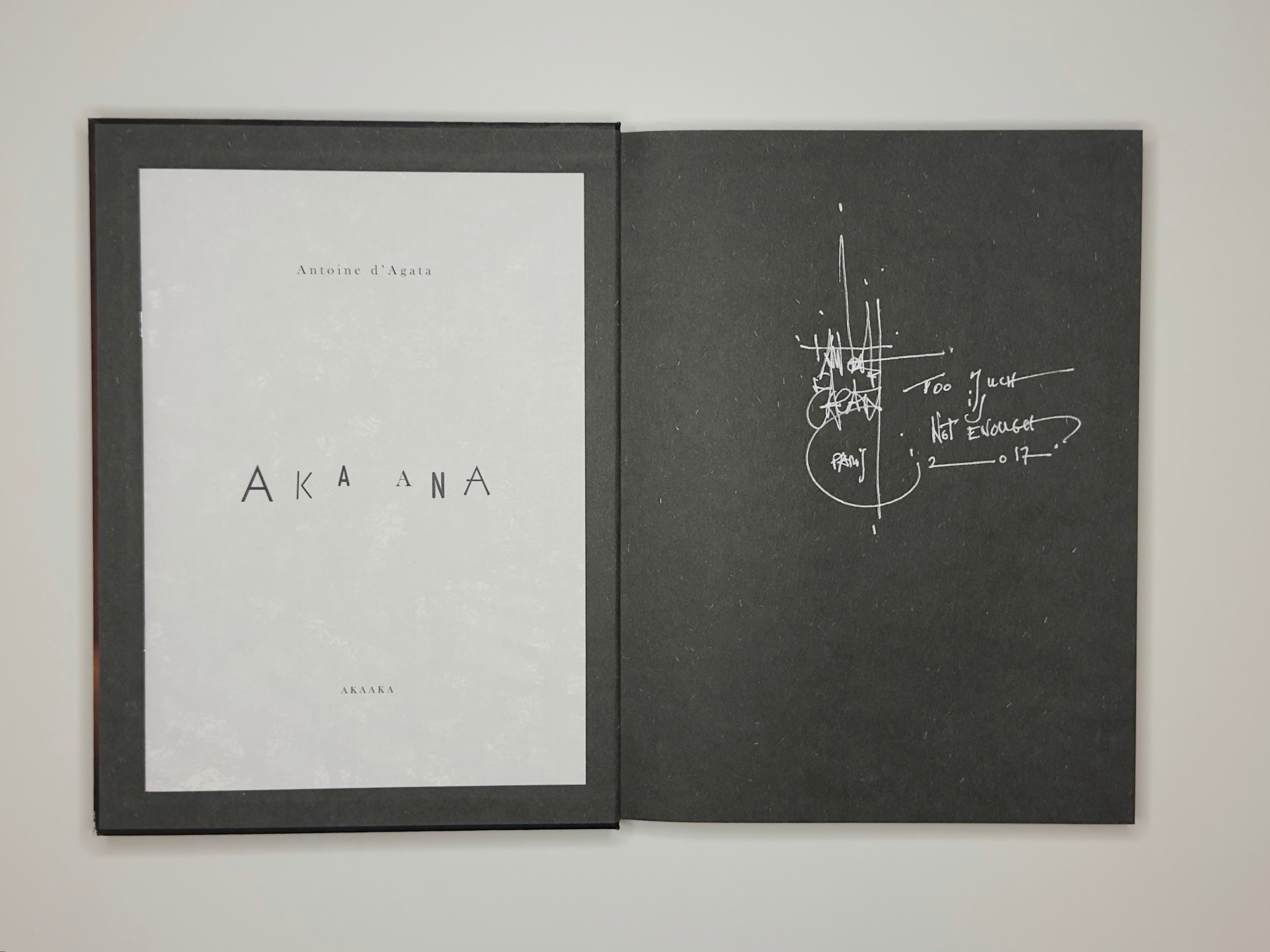 ANTICORPS — Antoine d'Agata, ATELIER EXB 2013 – DaRWIN