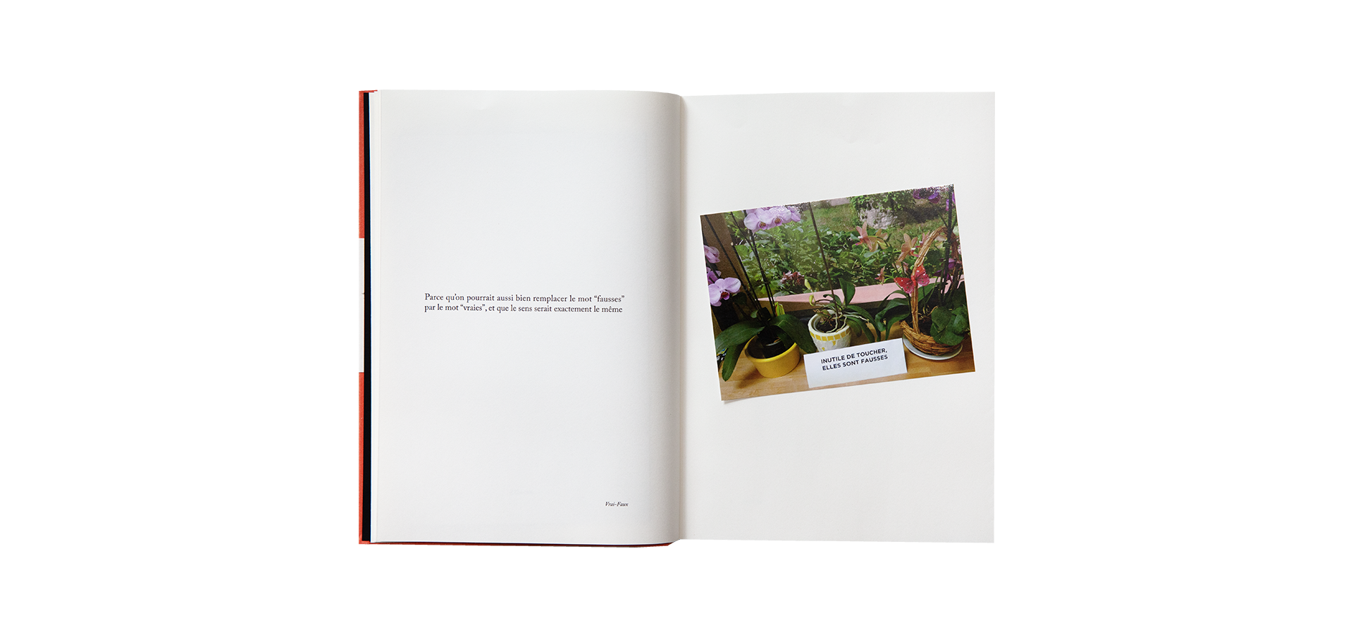 Because — Sophie Calle, Atelier EXB, 2018 / English edition