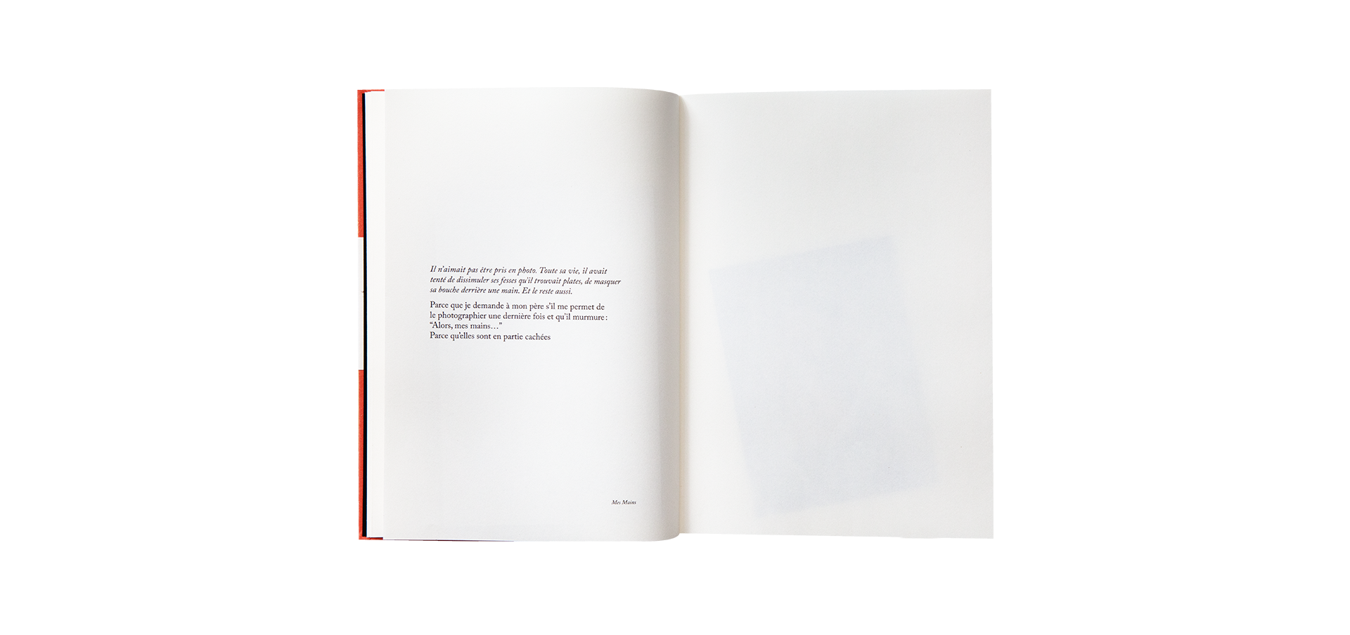 Because — Sophie Calle, Atelier EXB, 2018 / English edition