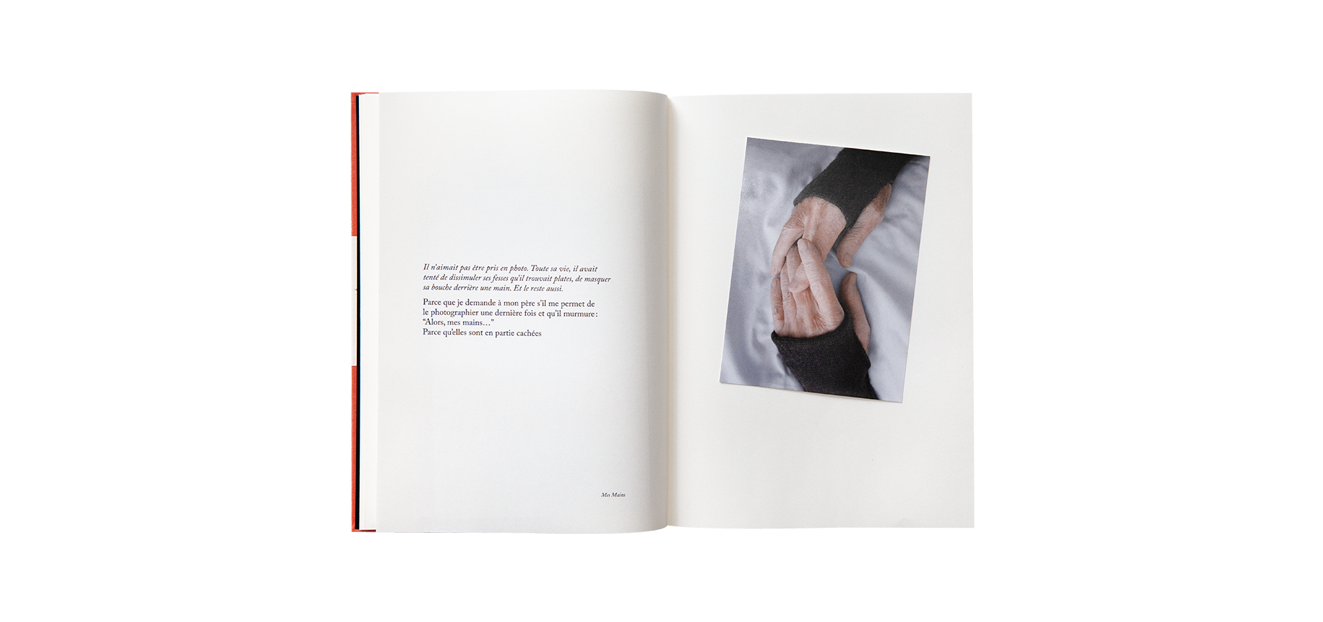 Because — Sophie Calle, Atelier EXB, 2018 / English edition