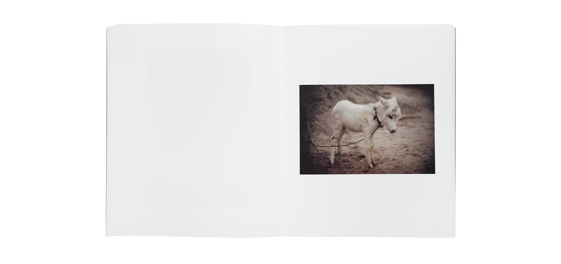 L’Odeur de l’Inde — Paolo Roversi, Pier Paolo Pasolini