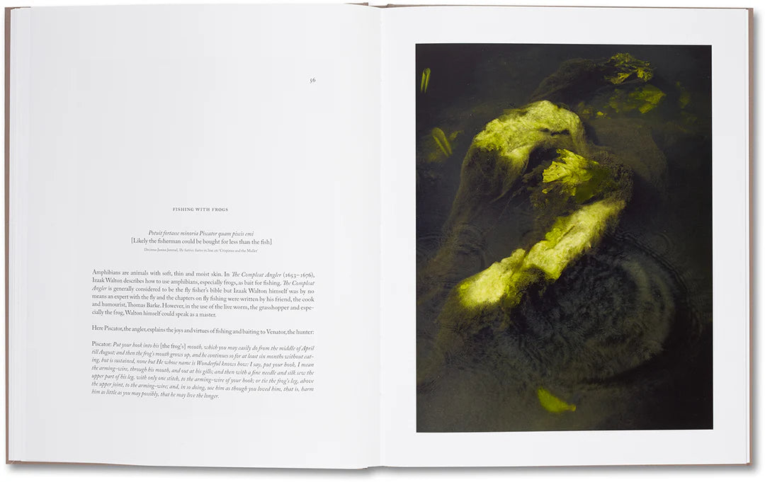 Belongs to Joe – Book of Comfort for a Nymphomaniac – Casper Sejersen – 2014