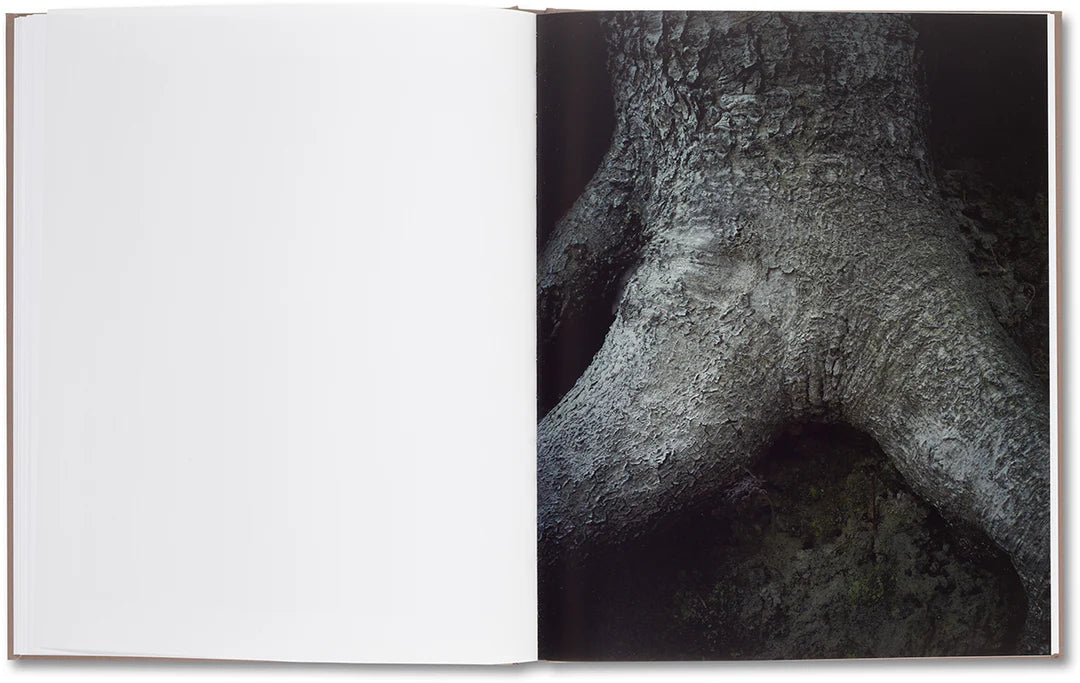 Belongs to Joe – Book of Comfort for a Nymphomaniac – Casper Sejersen – 2014