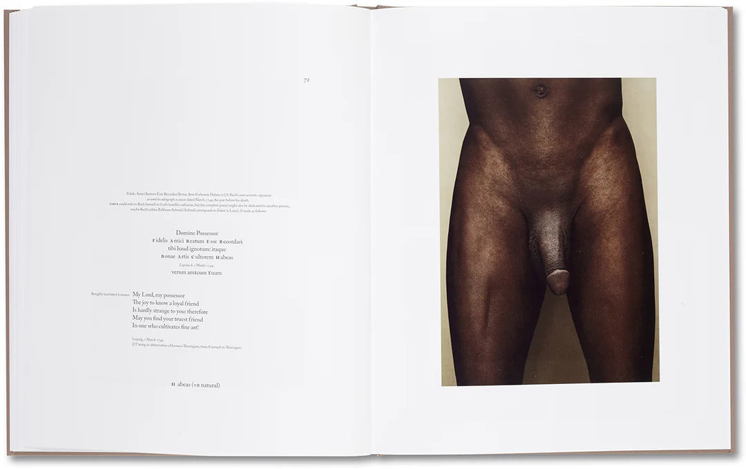 Belongs to Joe – Book of Comfort for a Nymphomaniac – Casper Sejersen – 2014