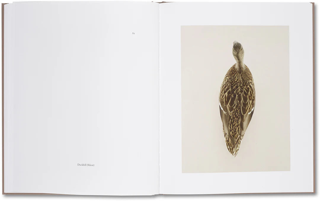 Belongs to Joe – Book of Comfort for a Nymphomaniac – Casper Sejersen – 2014