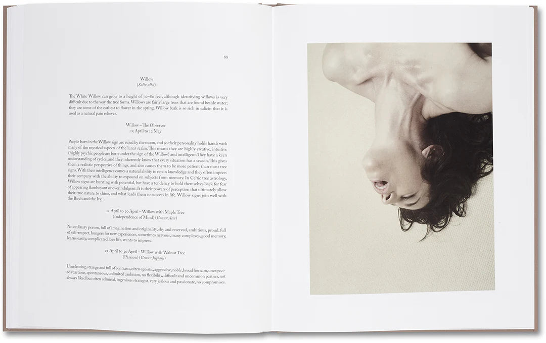 Belongs to Joe – Book of Comfort for a Nymphomaniac – Casper Sejersen – 2014