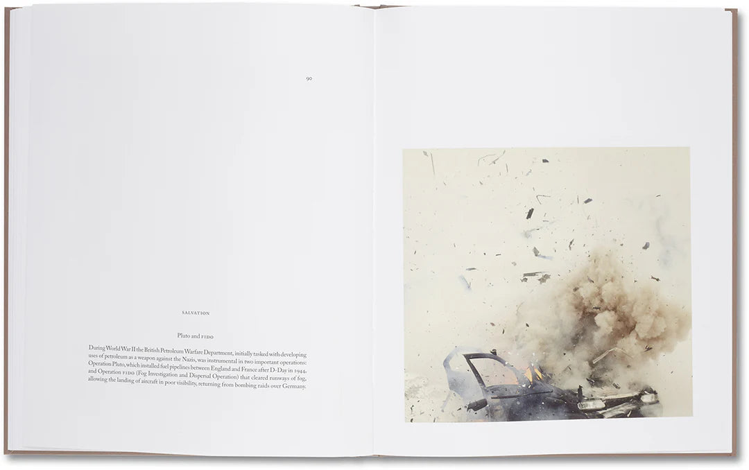 Belongs to Joe – Book of Comfort for a Nymphomaniac – Casper Sejersen – 2014