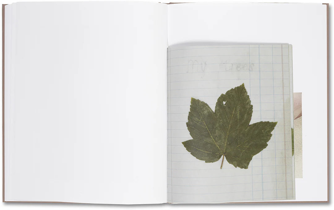 Belongs to Joe – Book of Comfort for a Nymphomaniac – Casper Sejersen – 2014