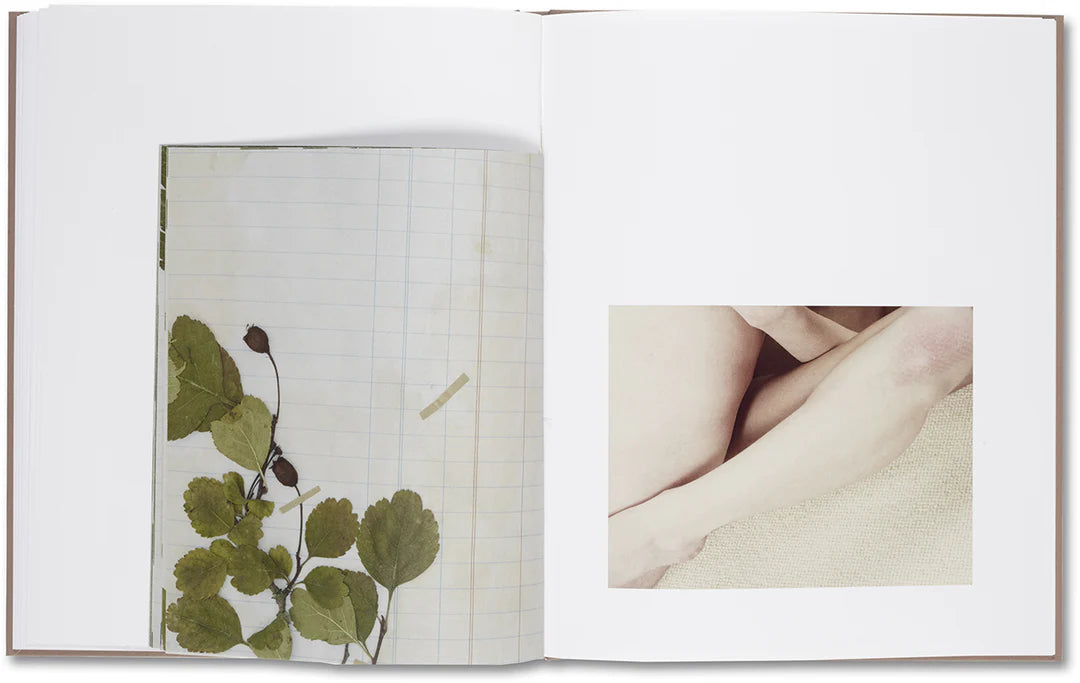 Belongs to Joe – Book of Comfort for a Nymphomaniac – Casper Sejersen – 2014
