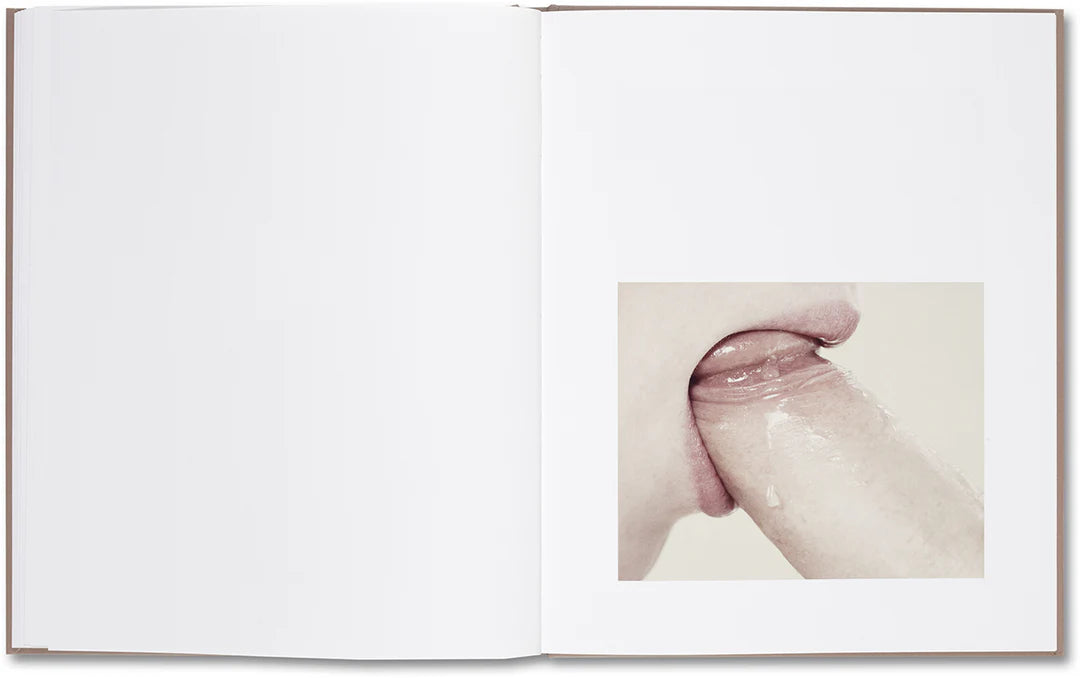 Belongs to Joe – Book of Comfort for a Nymphomaniac – Casper Sejersen – 2014