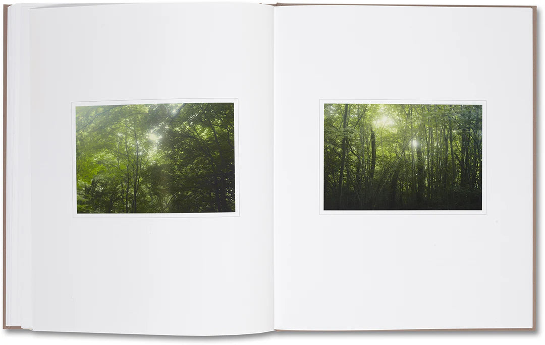 Belongs to Joe – Book of Comfort for a Nymphomaniac – Casper Sejersen – 2014