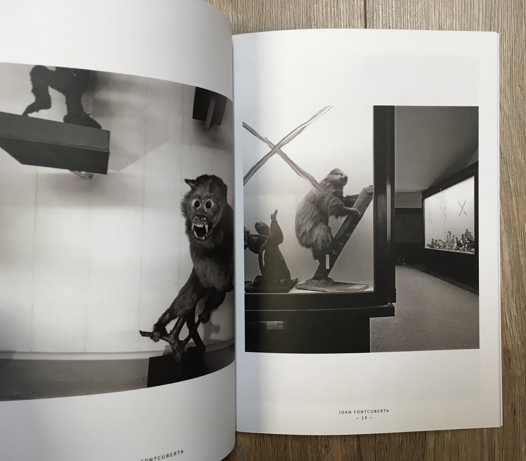 Animal Trouvé — Joan Fontcuberta, Editions Bessard Zine N°15, 2014, Limited Edition of 300 + signed C-Print