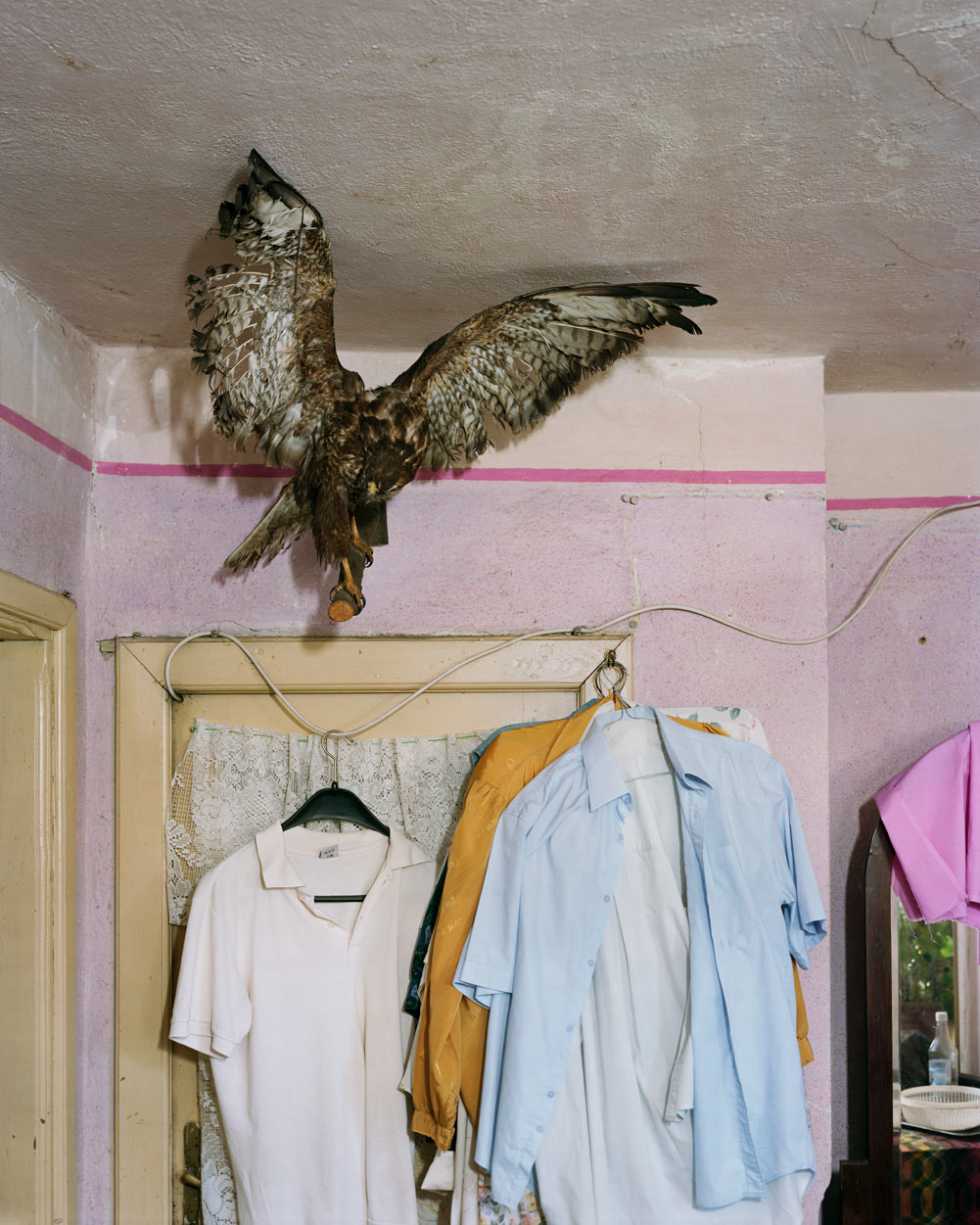 I Know How Furiously Your Heart Is Beating — Alec Soth, Primera edición, firmado
