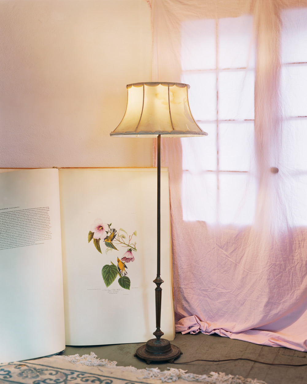 I Know How Furiously Your Heart Is Beating — Alec Soth, Primera edición, firmado