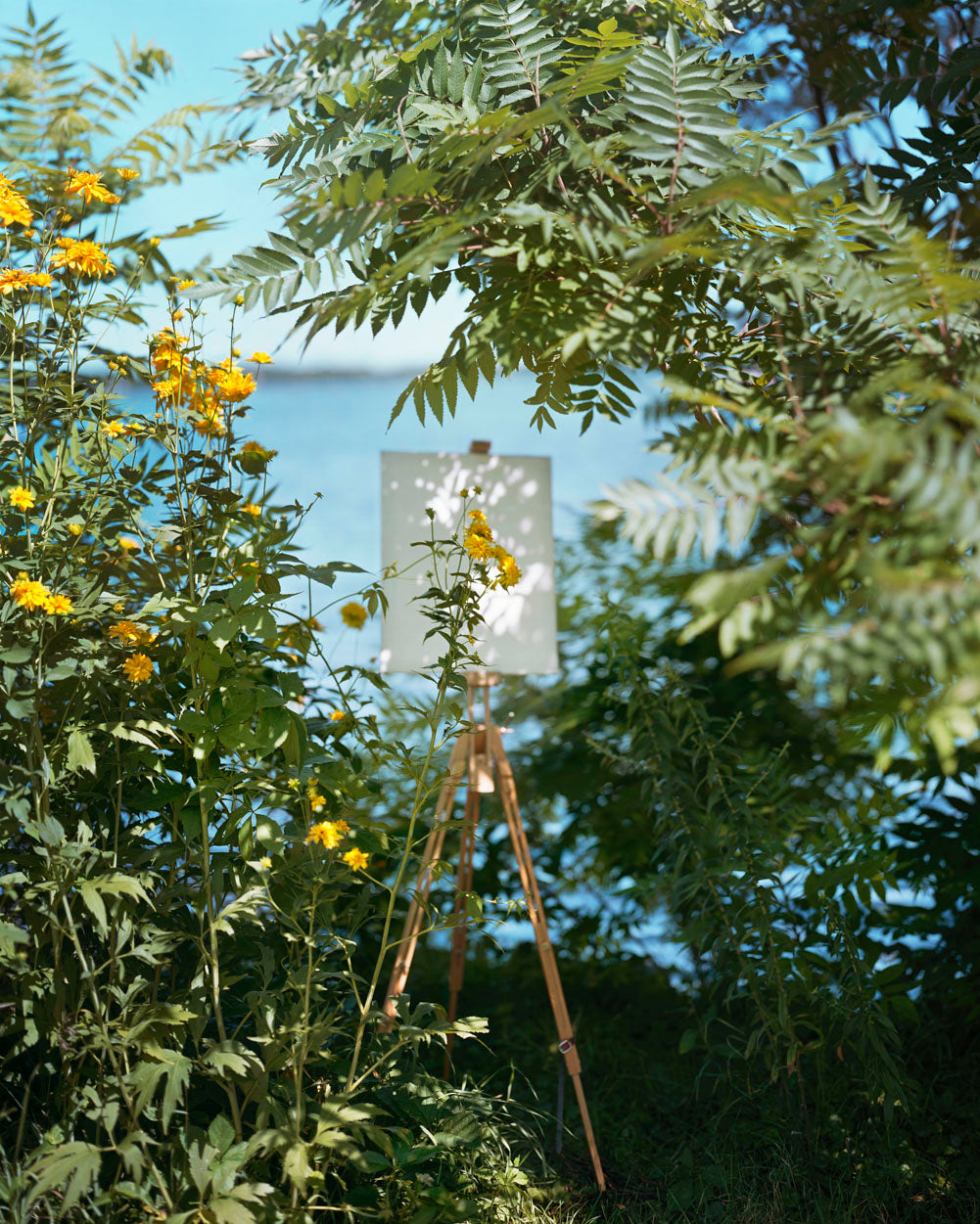 A Pound of Pictures — Alec Soth, signed, 2022