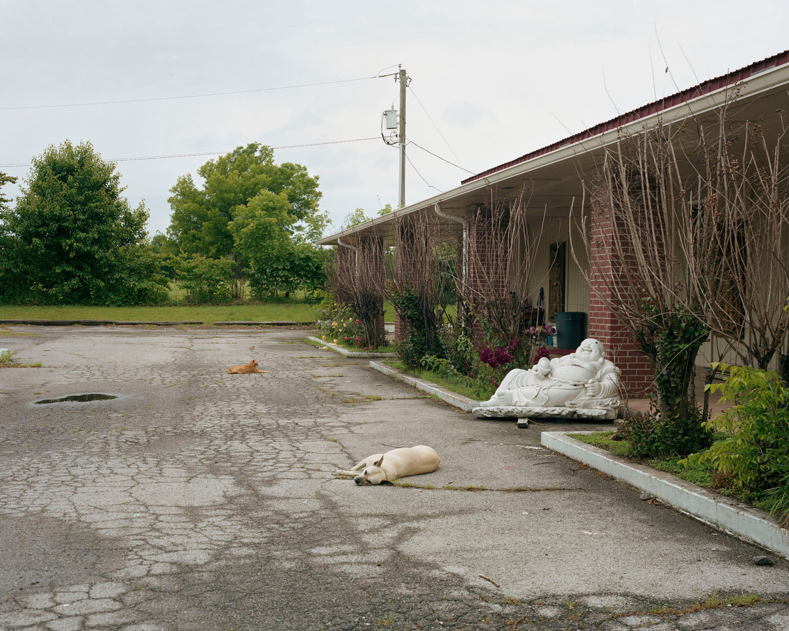 A Pound of Pictures — Alec Soth, signed, 2022
