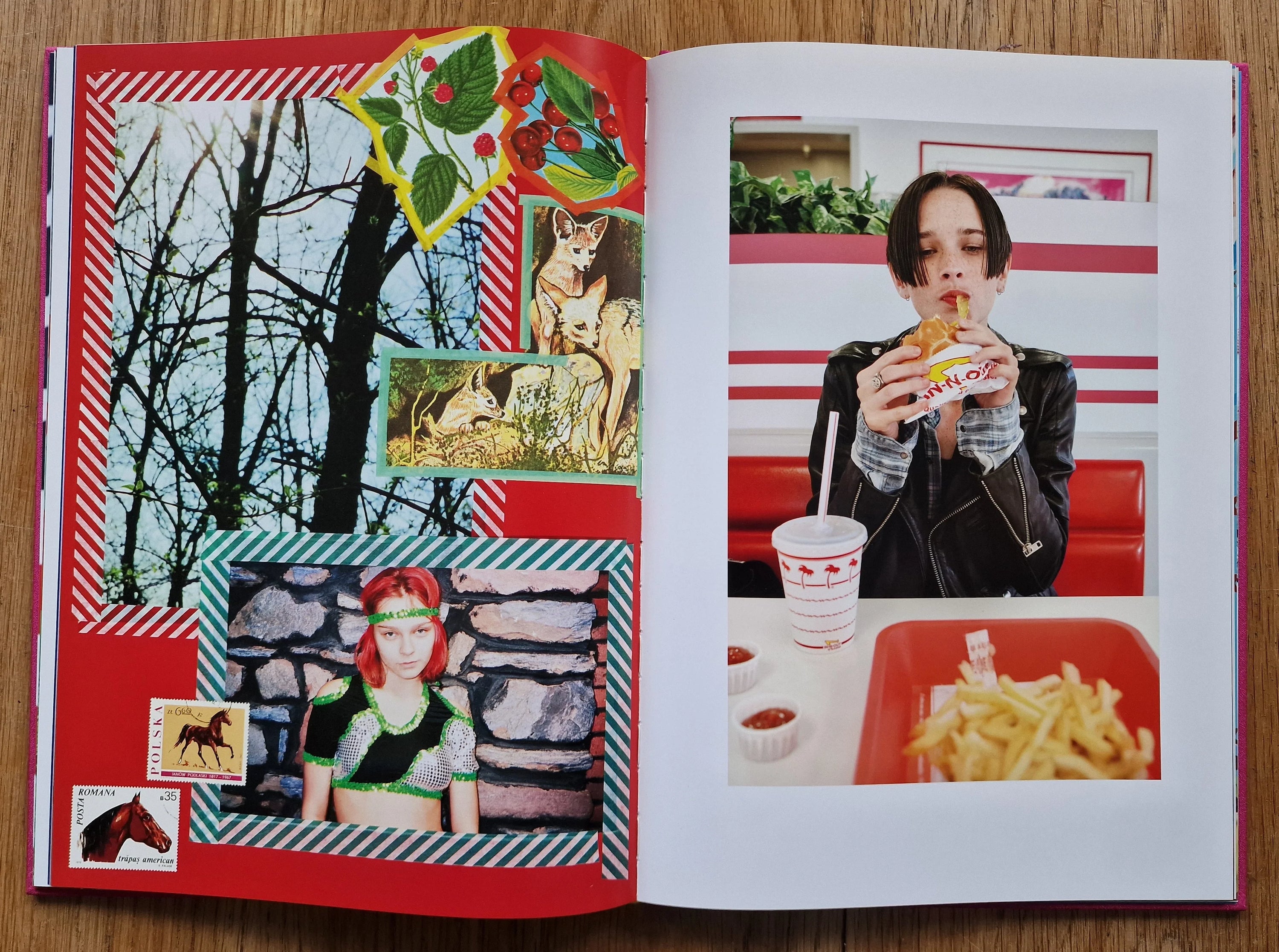 Dye Your Hair With Kool-Aid — Valerie Phillips, 2022, Editions Bessard
