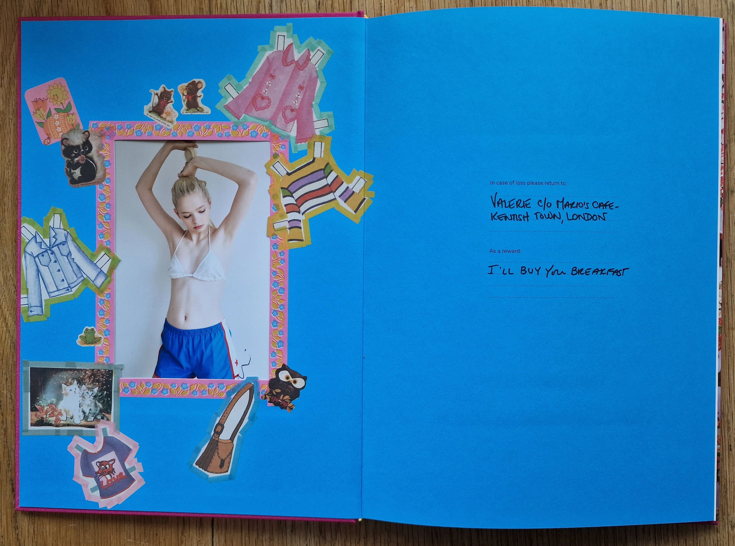 Dye Your Hair With Kool-Aid — Valerie Phillips, 2022, Editions Bessard