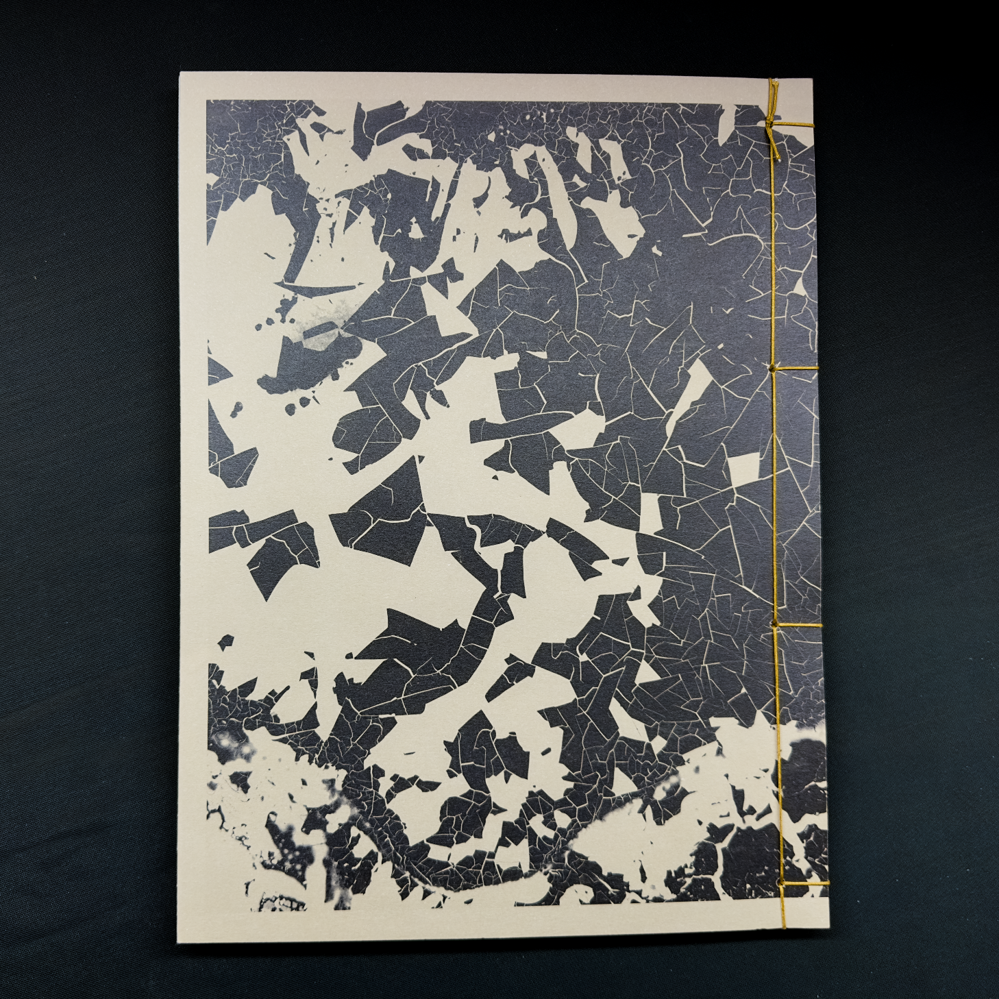 KINTSUGI – Joan Fontcuberta,  Editorial RM