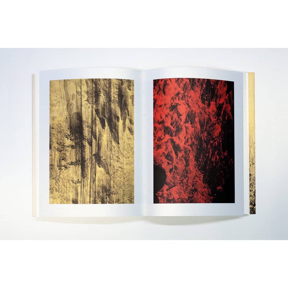 Photographic Syntax — Albarrán Cabrera — the(M) éditions & IBASHO — 2023