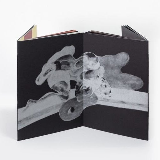 Francis Bacon / Antoine d'Agata — Antoine d'Agata (firmado)