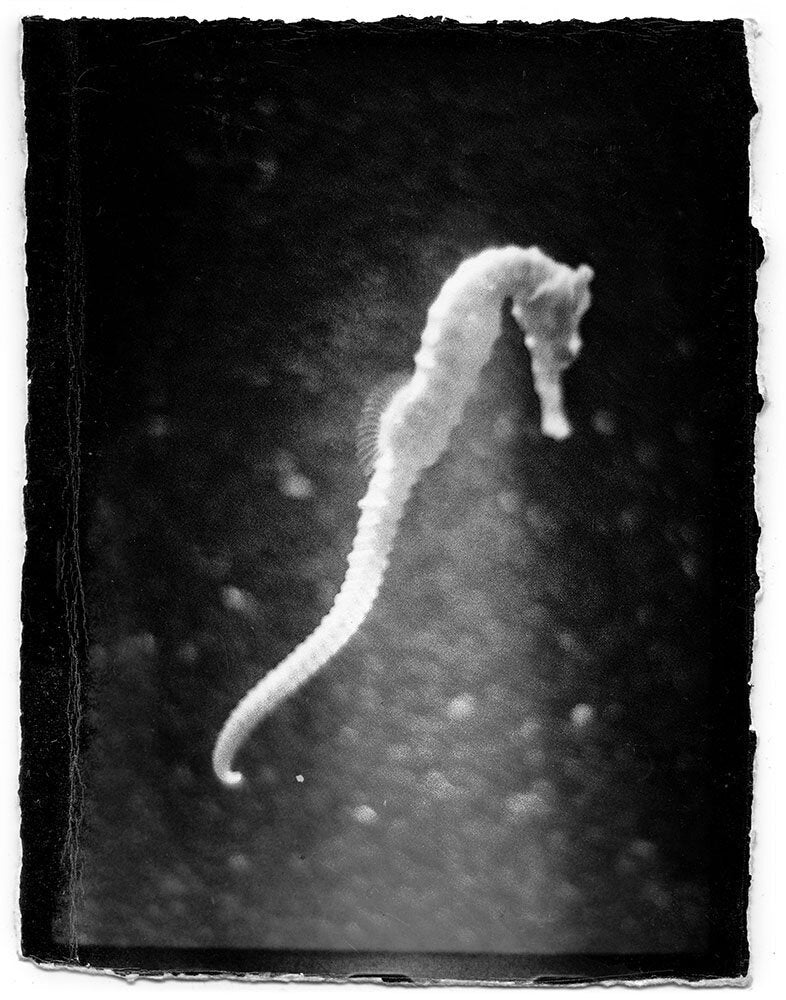 Hunger – Epilogue — Michael Ackerman — Void — 2023