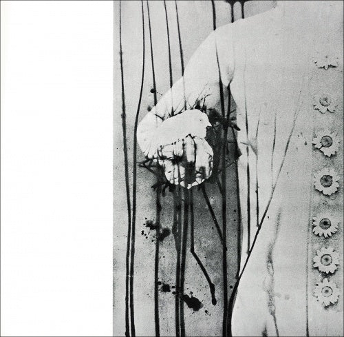 Dance Experience (reprint) — Eikoh Hosoe — Akio Nagasawa Publishing — 2012