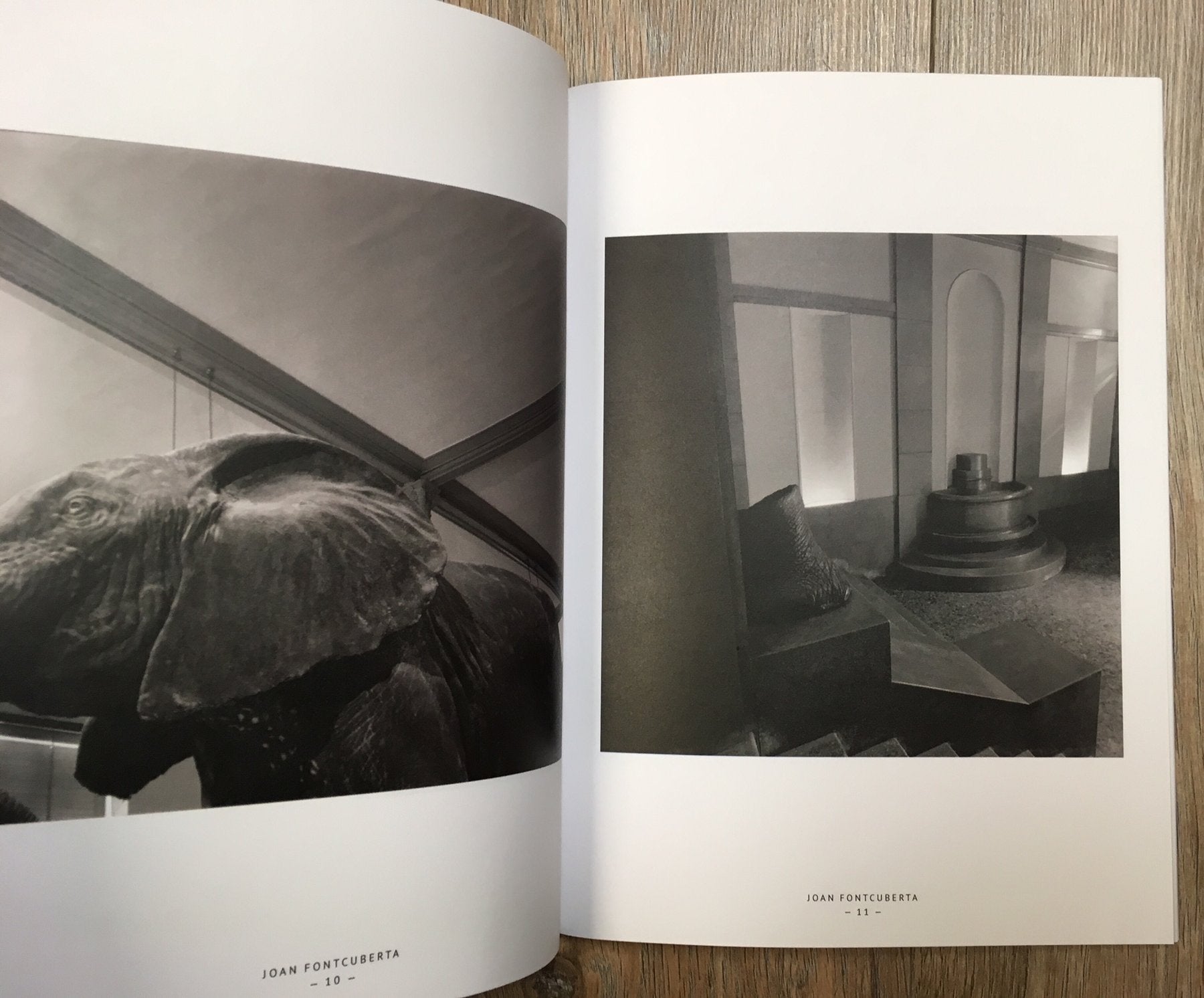 Animal Trouvé — Joan Fontcuberta, Editions Bessard Zine N°15, 2014, Limited Edition of 300 + signed C-Print