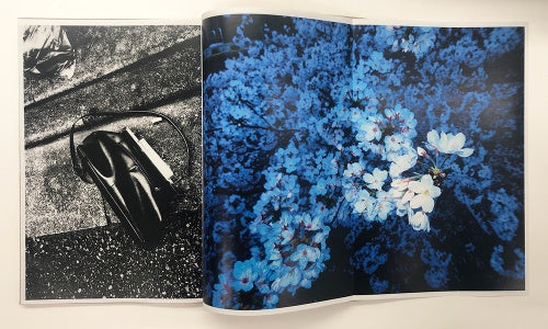 Naomi — Daido Moriyama — Akio Nagasawa Publishing — 2021