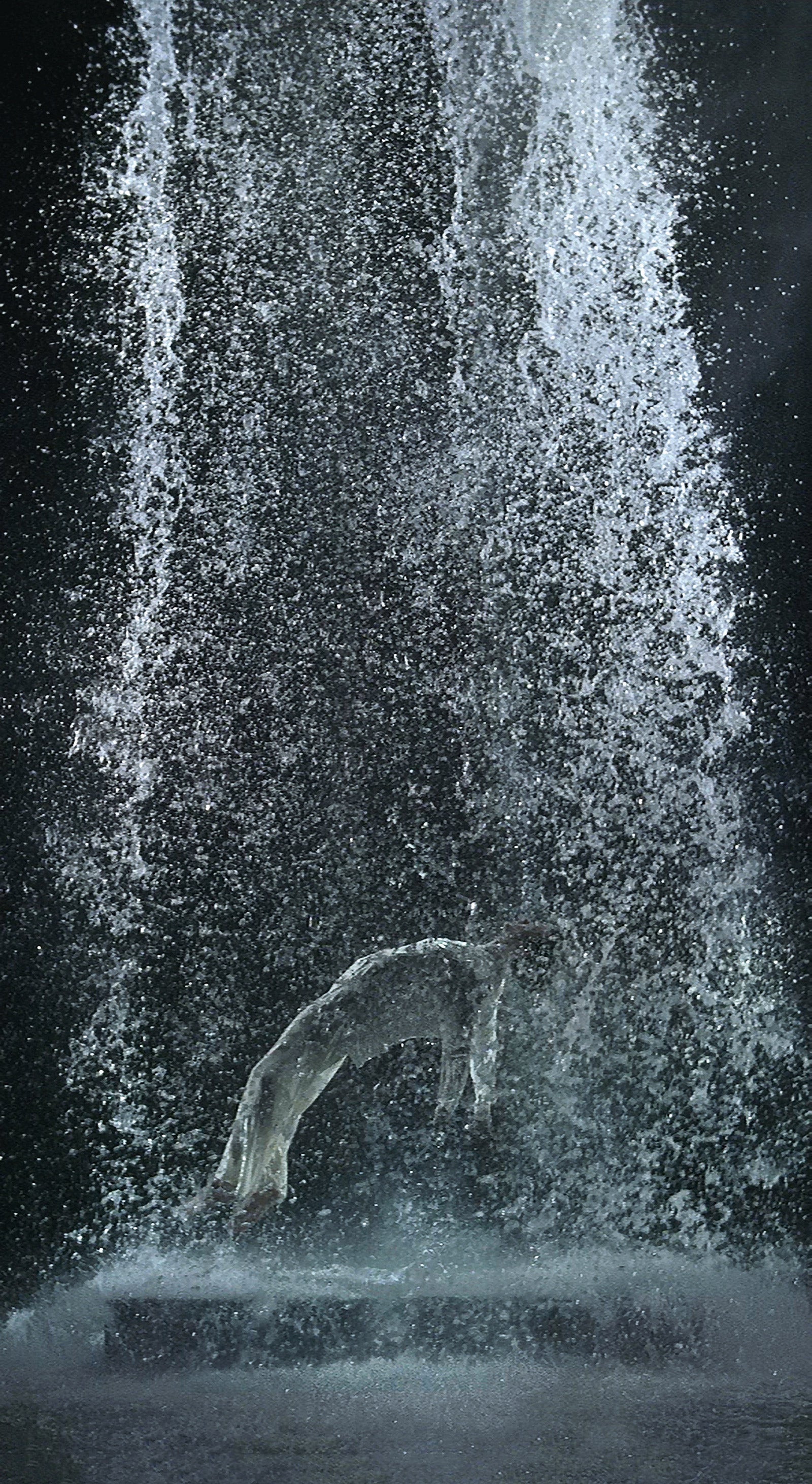 Bill Viola / Michelangelo: Life, Death, Rebirth — 2019