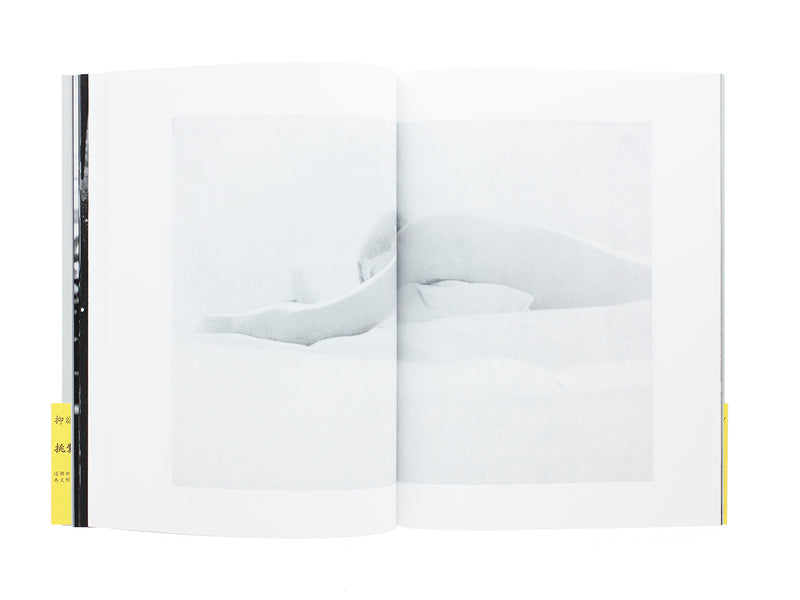 PROVOKE : Réimpression complète de 3 volumes — Koji Taki, Takuma Nakahira, Yutaka Takanashi, Takahiko Okada, Daido Moriyama