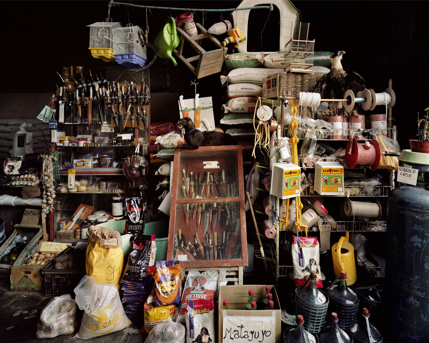 Stories — Guillermo Srodek-Hart, 2015, Prestel
