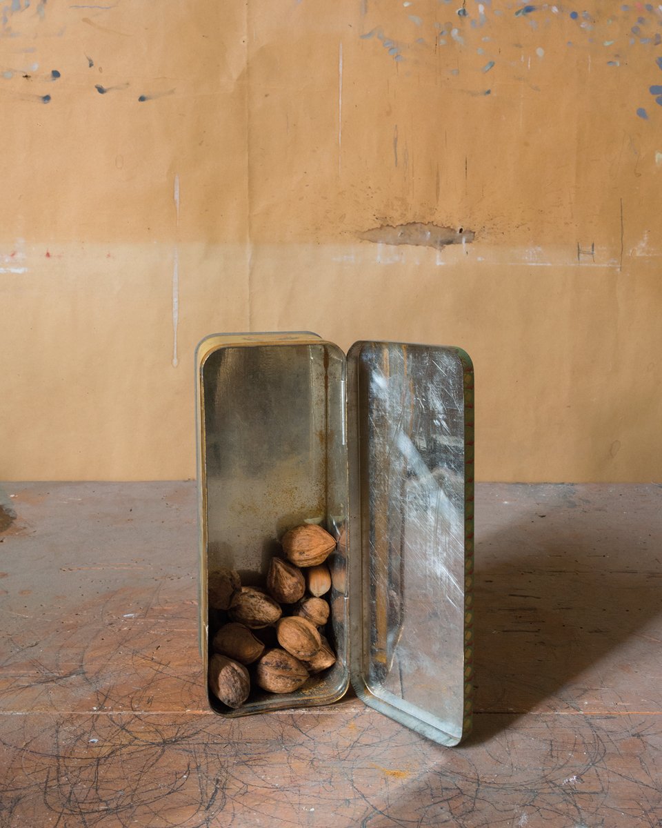 Joel Meyerowitz — Los objetos de Morandi (Segunda edición, 2016)