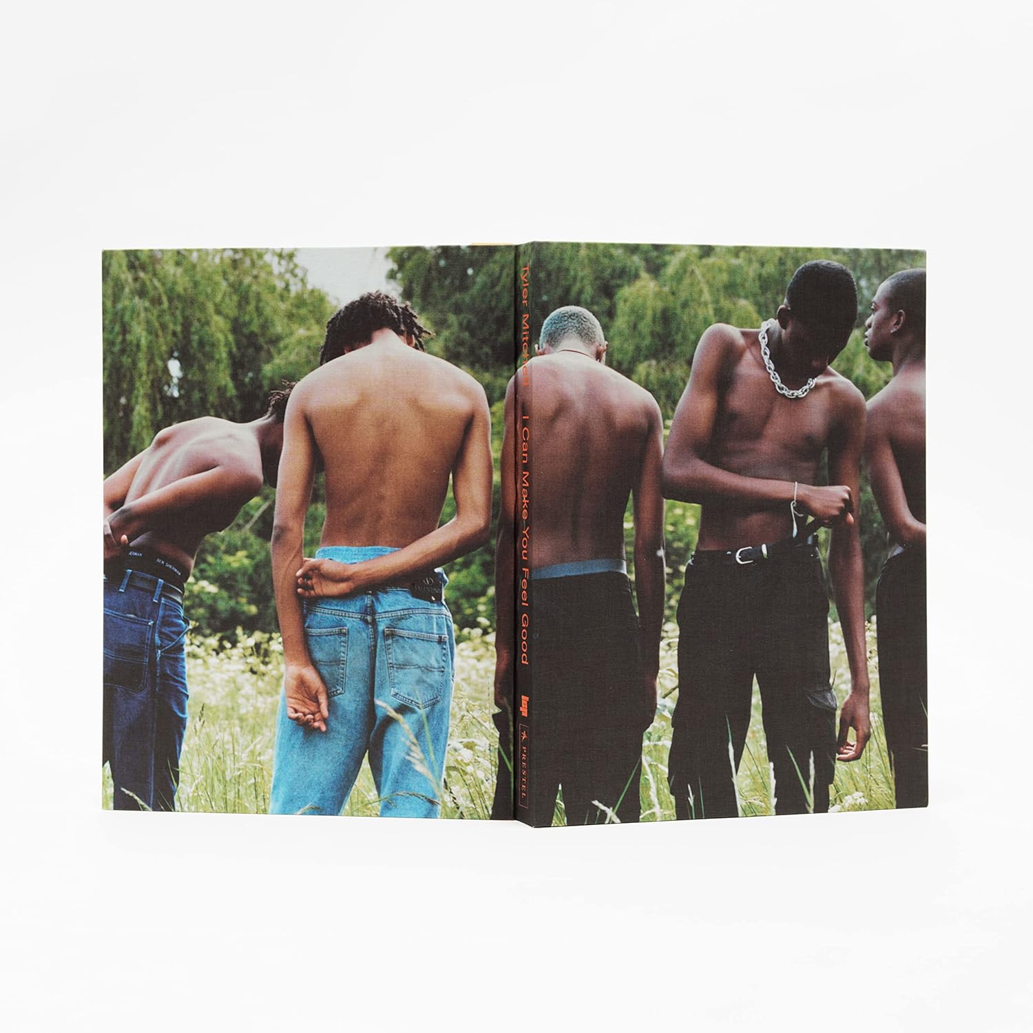 Tyler Mitchell — Je peux te faire du bien