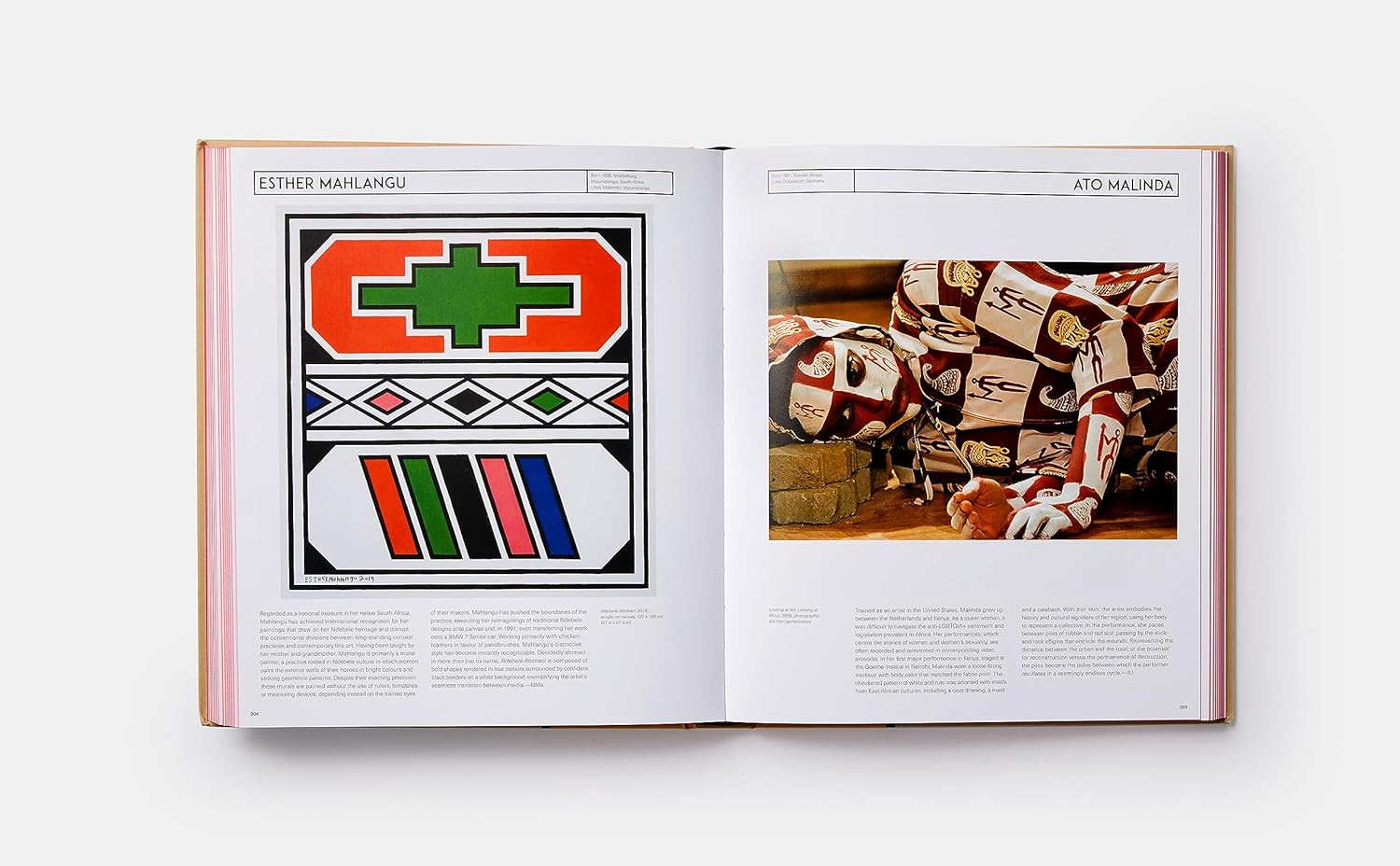 African Artists: From 1882 to Now — Phaidon, 2021