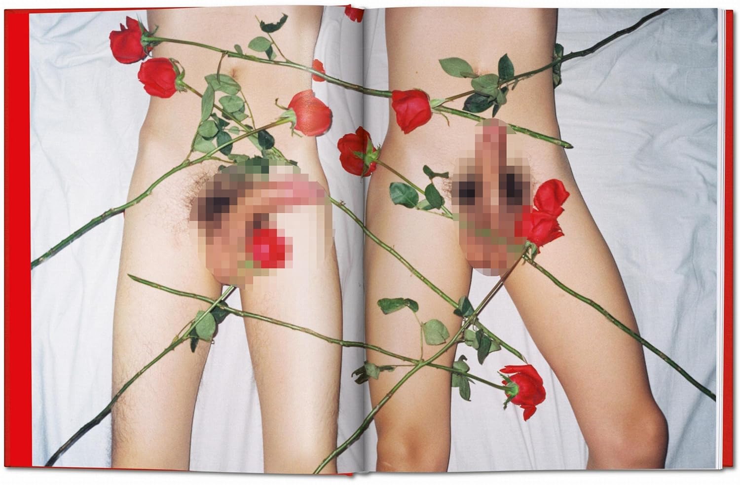 Ren Hang – Dian Hanson, 2017