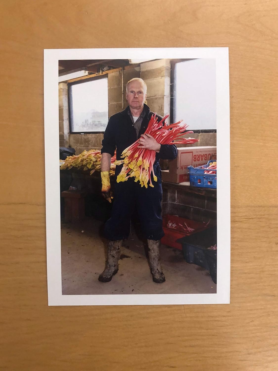 Martin Parr Portraits — Postcard Box, National Portrait Gallery, 2019