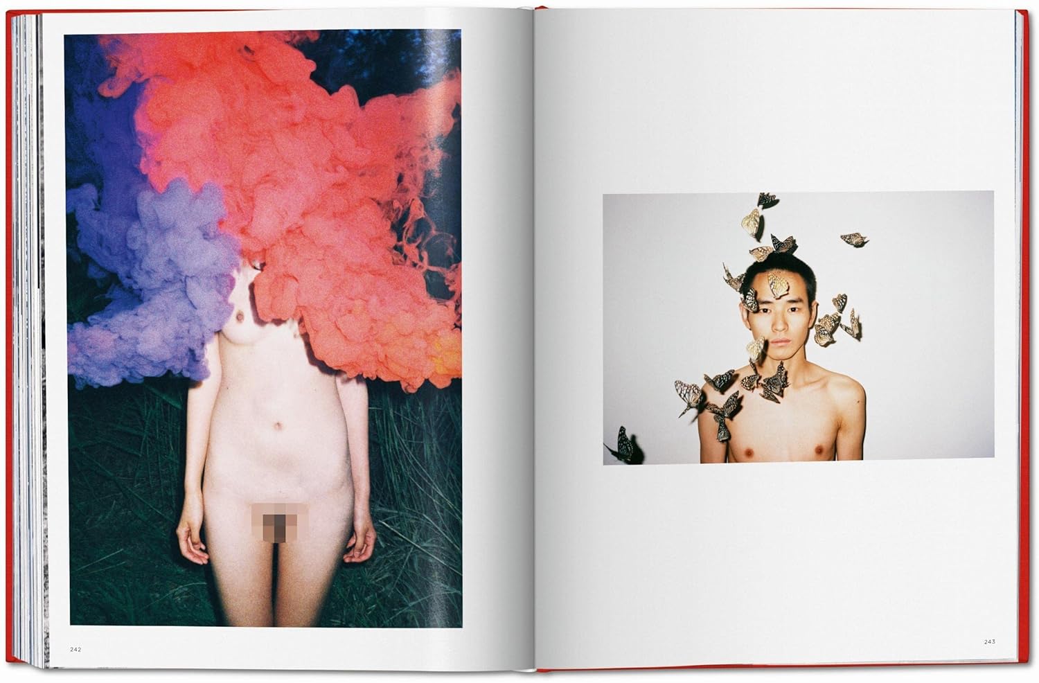 Ren Hang – Dian Hanson, 2017