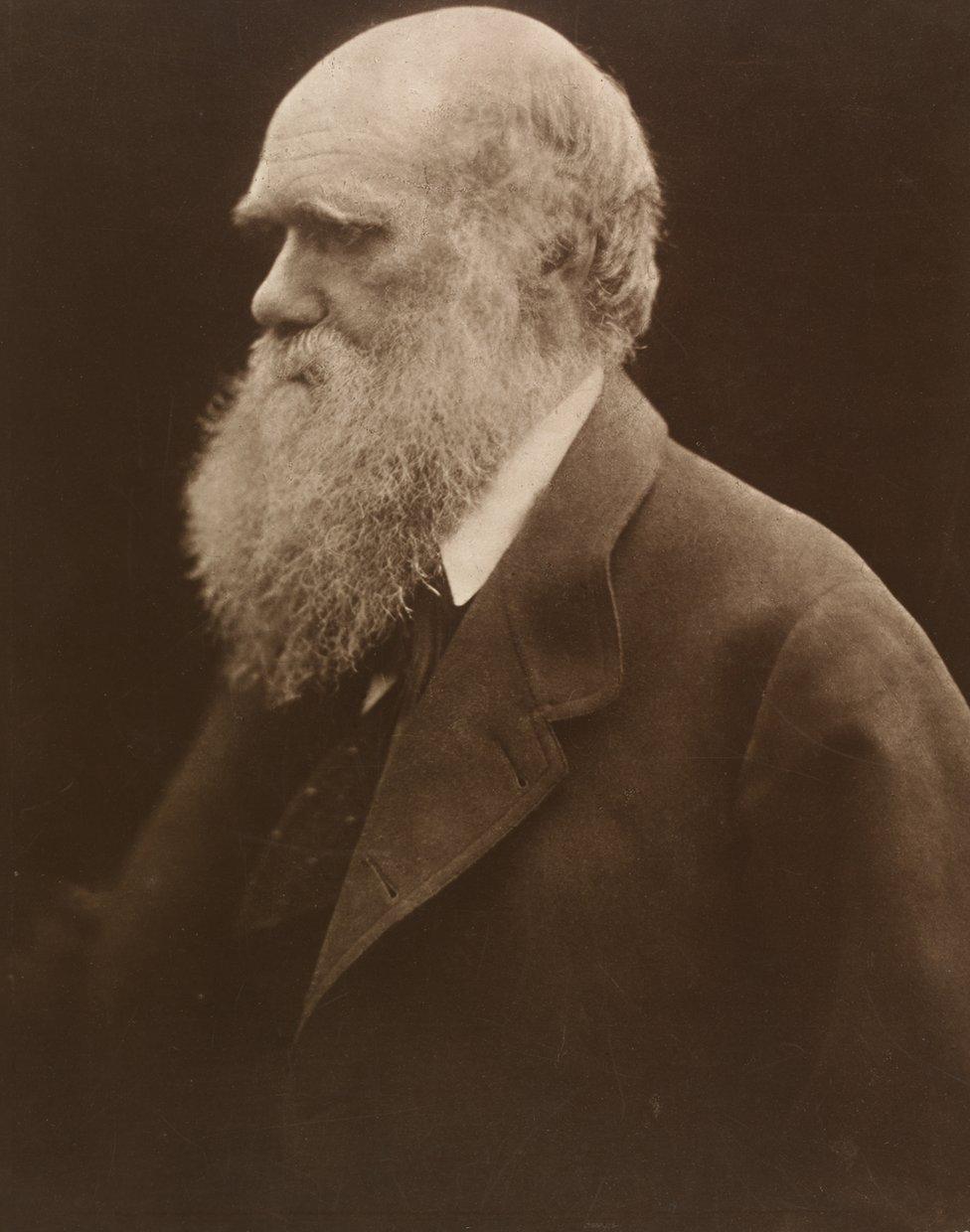 Julia Margaret Cameron – Fundación Mapfre, 2016, 1st edition