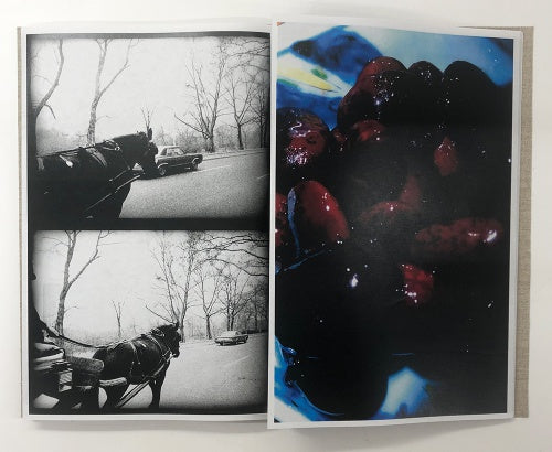 Yukari — Daido Moriyama — Akio Nagasawa Publishing — 2021