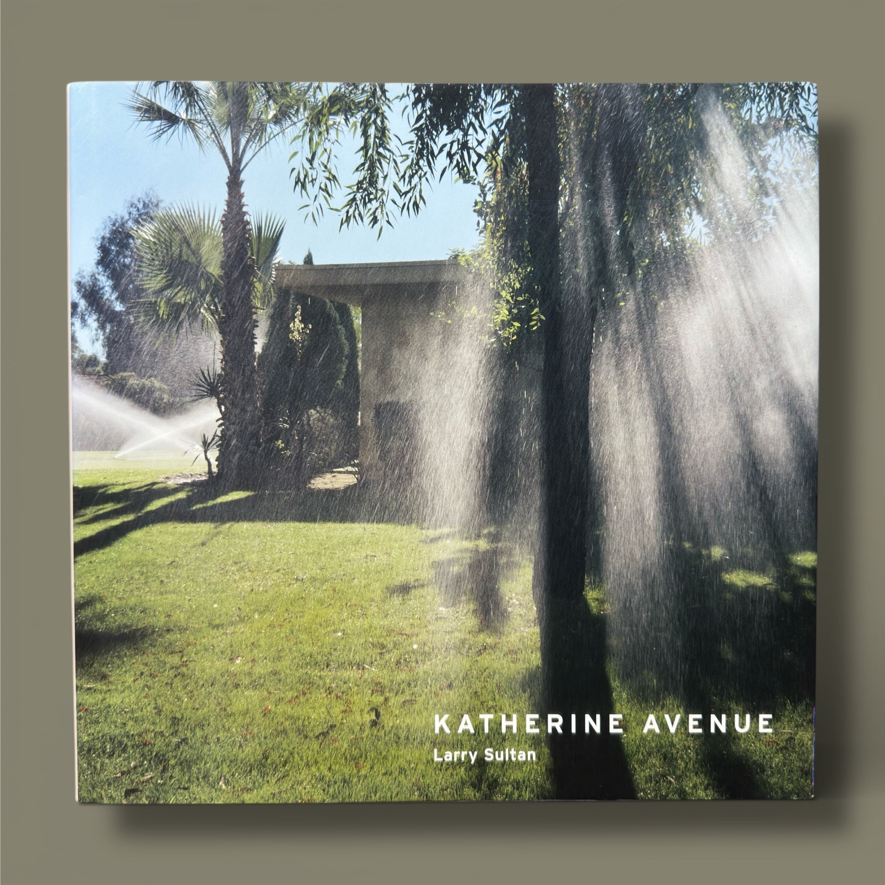 Avenida Katherine – Larry Sultan, 2010 