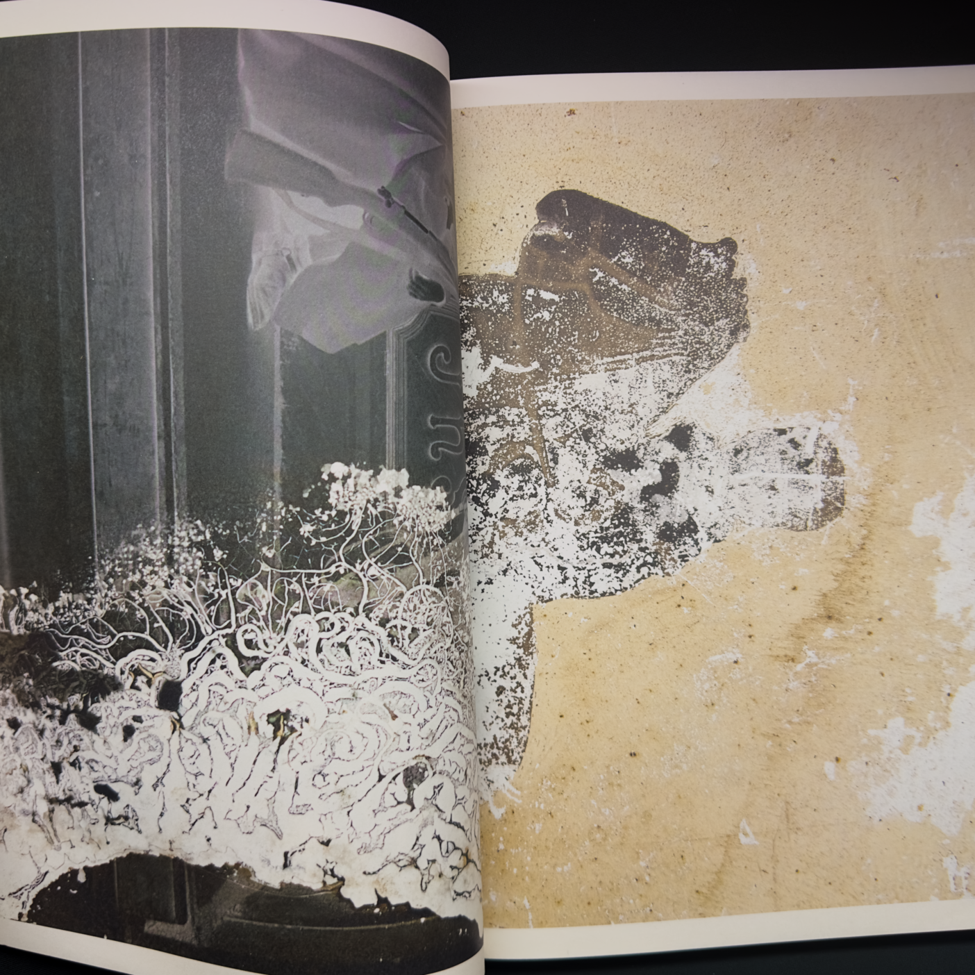 KINTSUGI – Joan Fontcuberta,  Editorial RM