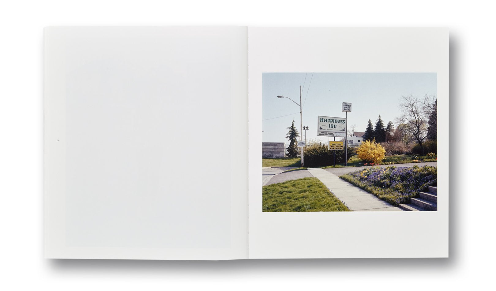Niagara — Alec Soth, 2021 (2da edición)