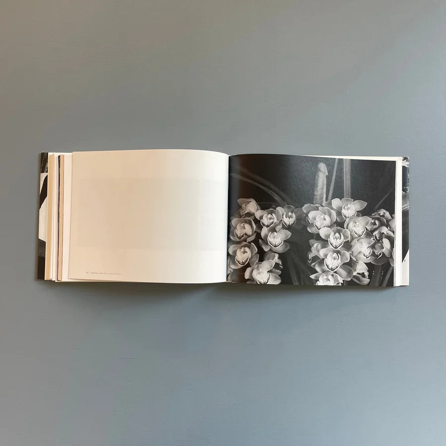 Sentimental Journey 1971–2017 — Nobuyoshi Araki — HeHe — 2017