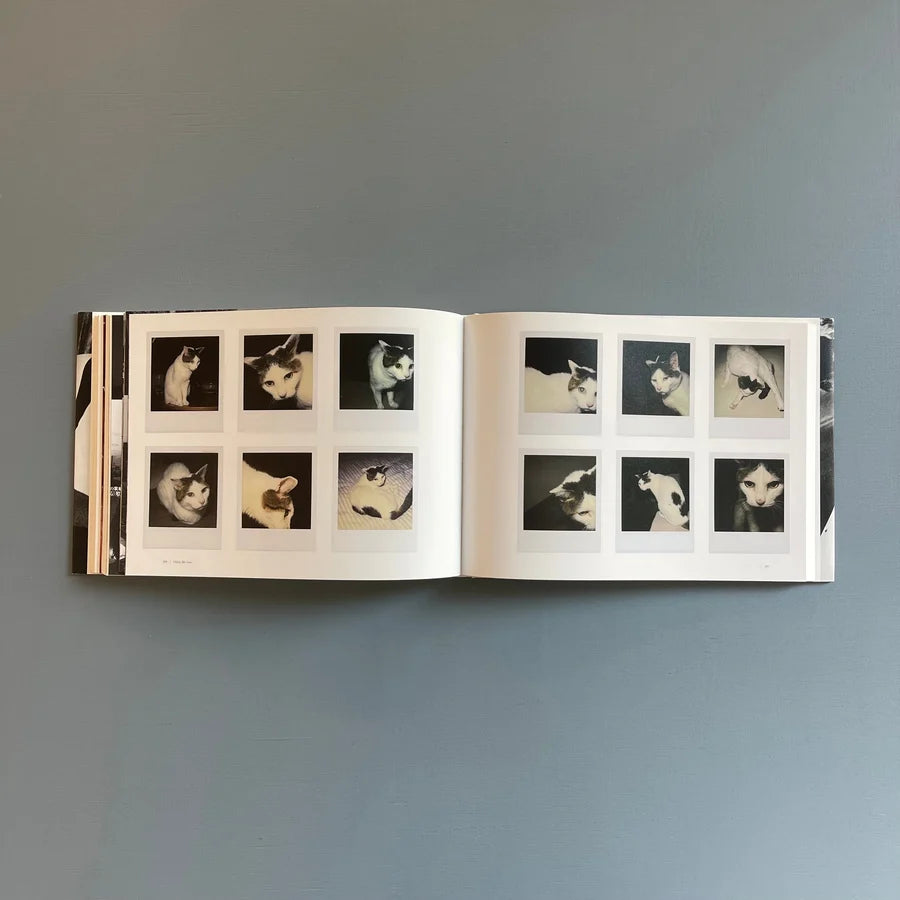 Sentimental Journey 1971–2017 — Nobuyoshi Araki — HeHe — 2017
