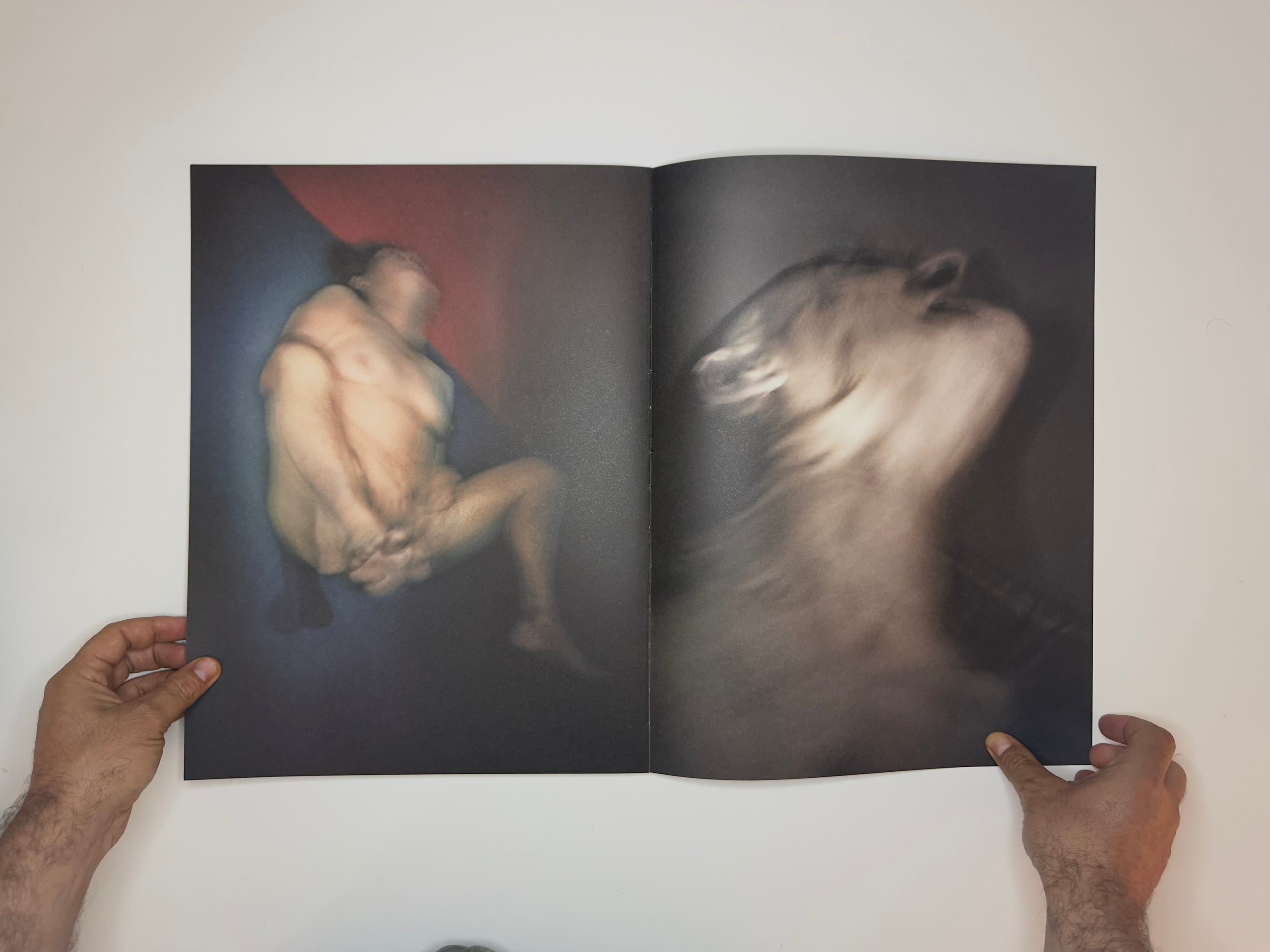 NOIÁ, Antoine d’Agata, SUPER LABO, 2014