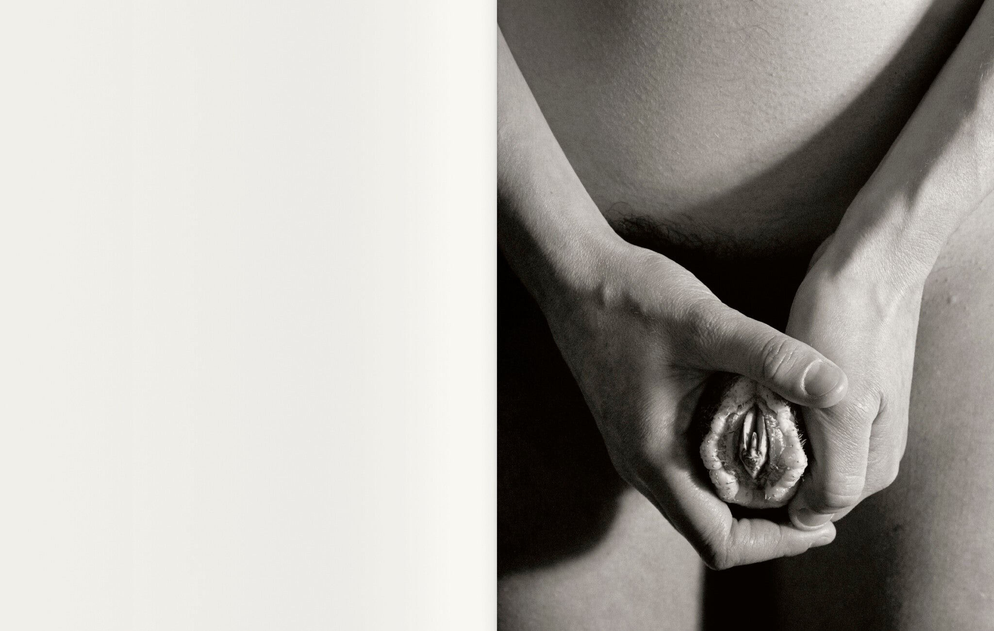 Contravisiones — Joan Fontcuberta, Textes de Joan Fontcuberta et Iván de la Nuez